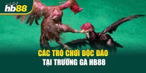 3 Lý Do Khiến Người Chơi Mê Mẩn Trường Gà HB88