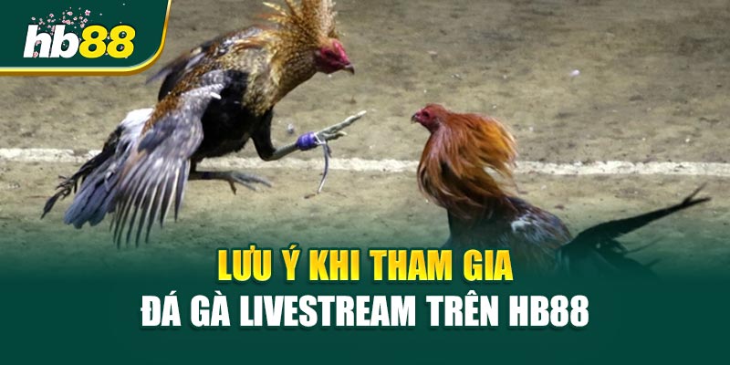 Lưu Ý Khi Tham Gia Đá Gà Livestream Trên HB88
