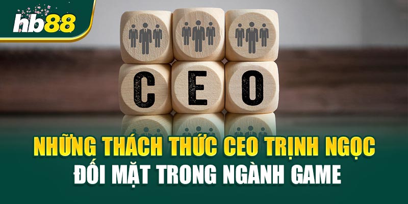 Những Thách Thức CEO Trịnh Ngọc Đối Mặt Trong Ngành Game