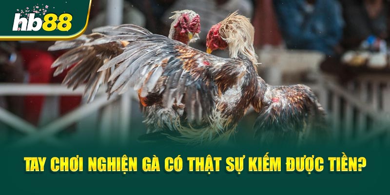 Tay Chơi Nghiện Gà - Thắng Hay Mất Cả Sổ Đỏ?