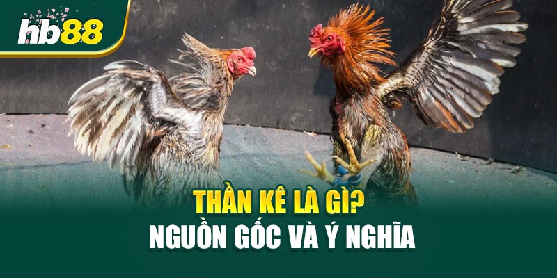 Thần Kê Là Gì? – Nguồn Gốc Và Ý Nghĩa