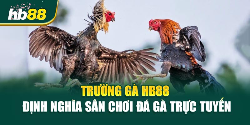 Trường Gà HB88 – Định Nghĩa Sân Chơi Đá Gà Trực Tuyến